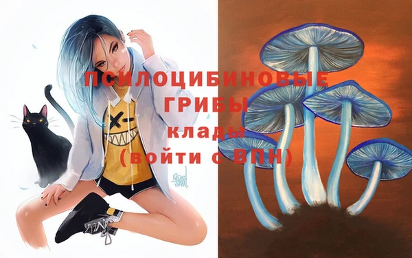 mdma Бутурлиновка
