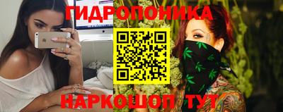 сатива Гай