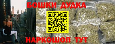 МДПВ Гагарин