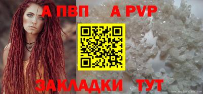 сатива Гай