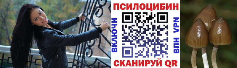 Псилоцибиновые грибы GOLDEN TEACHER  продажа наркотиков  Куйбышев 
