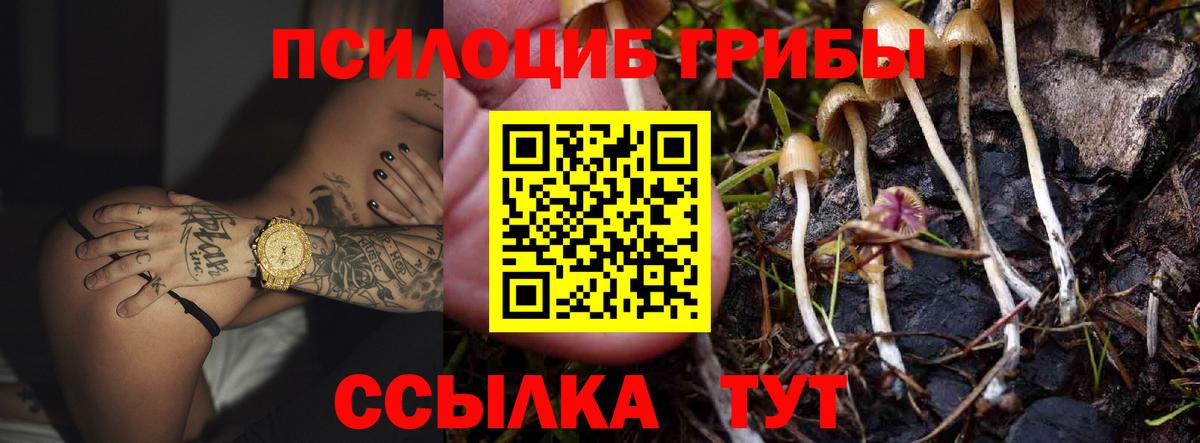 Псилоцибиновые грибы MAGIC MUSHROOMS  Куйбышев 
