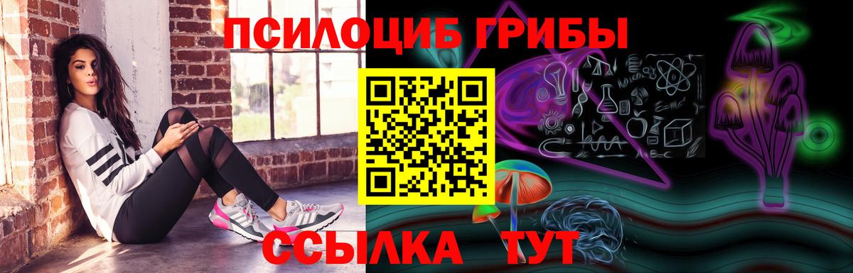 Галлюциногенные грибы GOLDEN TEACHER Куйбышев