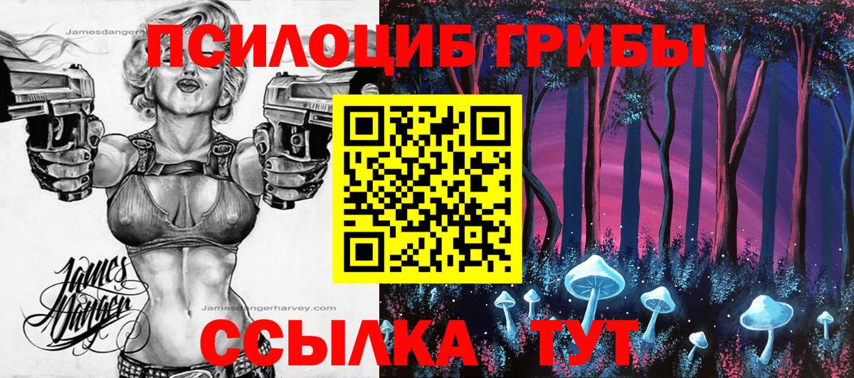 Куйбышев  Галлюциногенные грибы ЛСД  где продают наркотики  Вход с VPN 